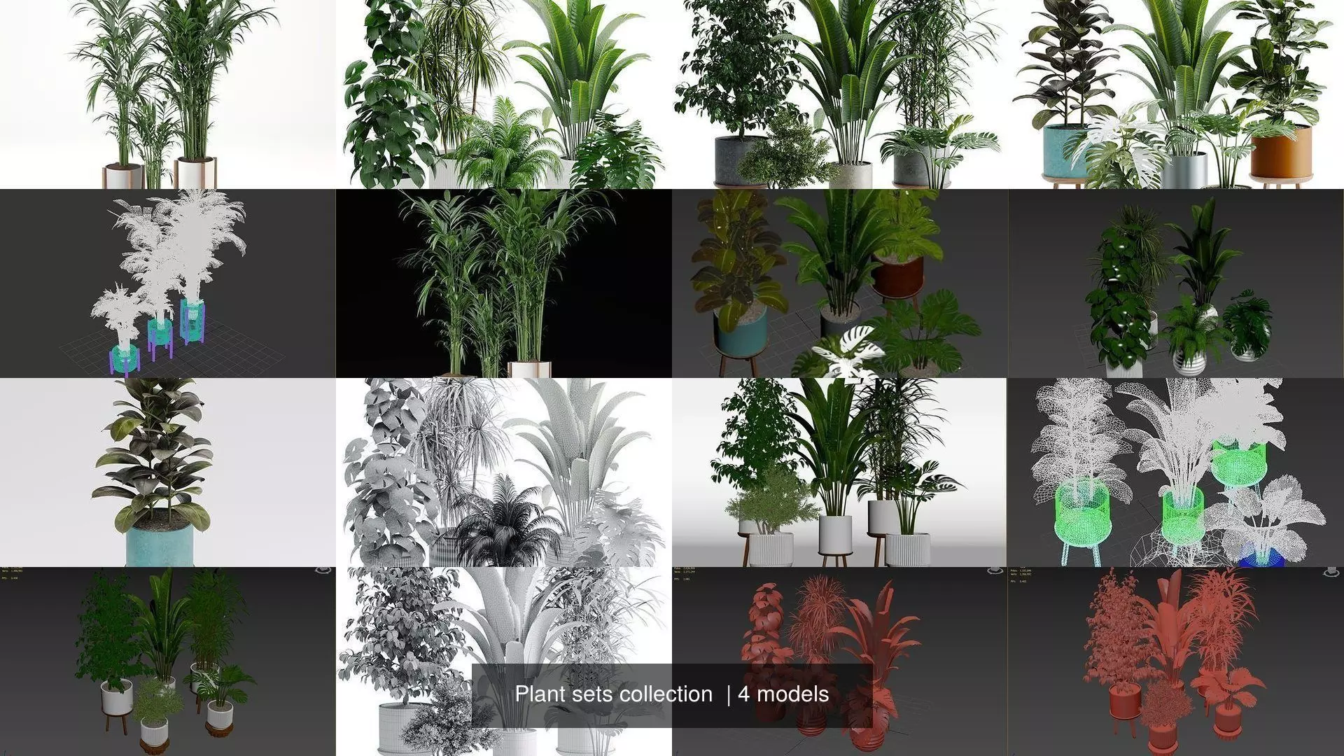 Plant sets collection  _3