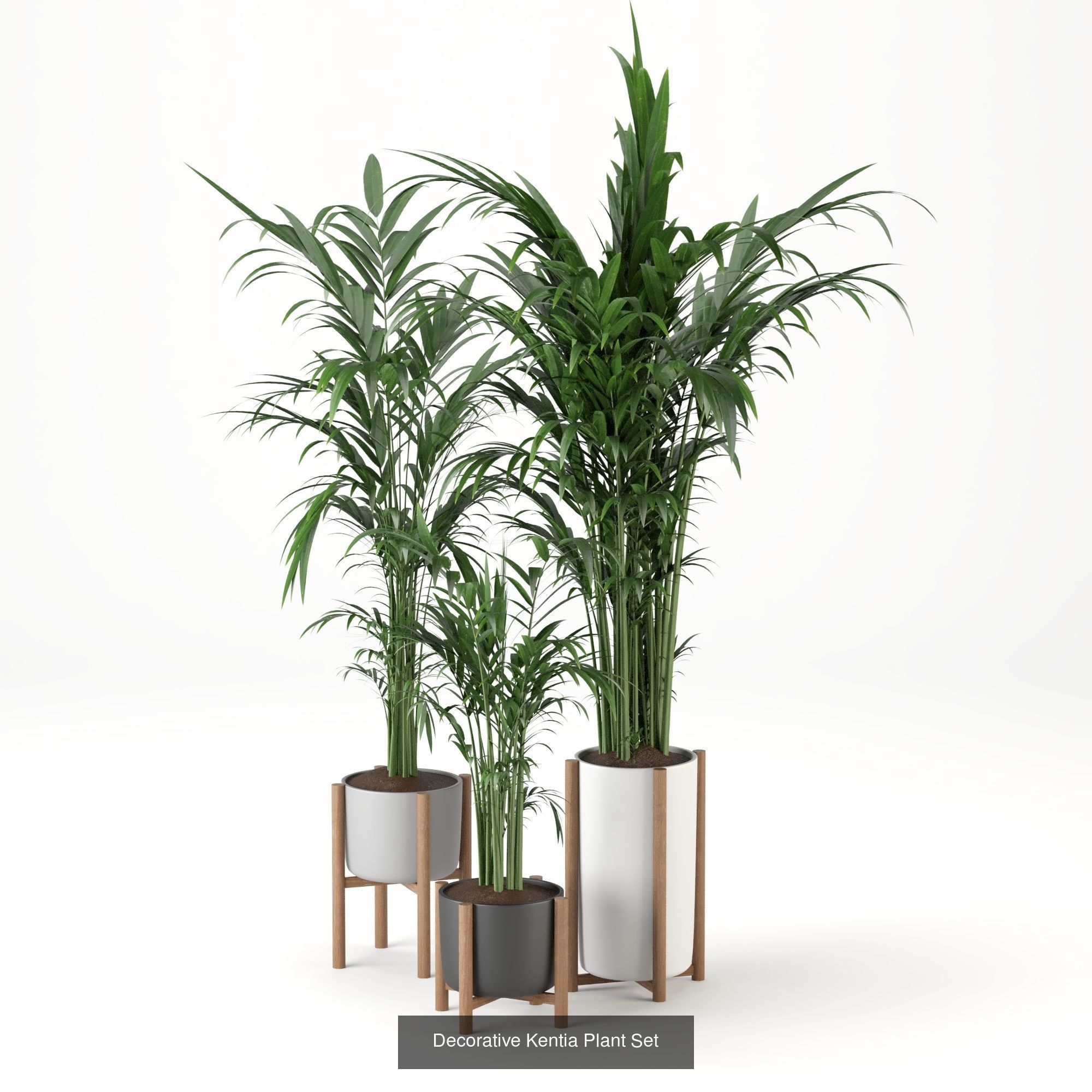 Plant sets collection  _6