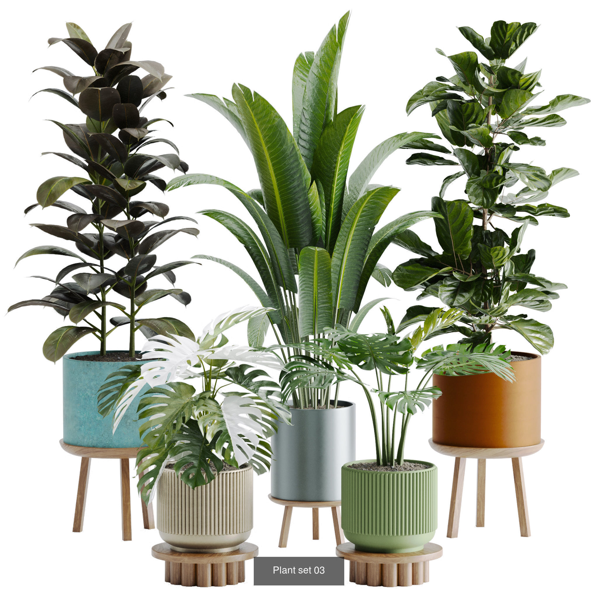 Plant sets collection  _8