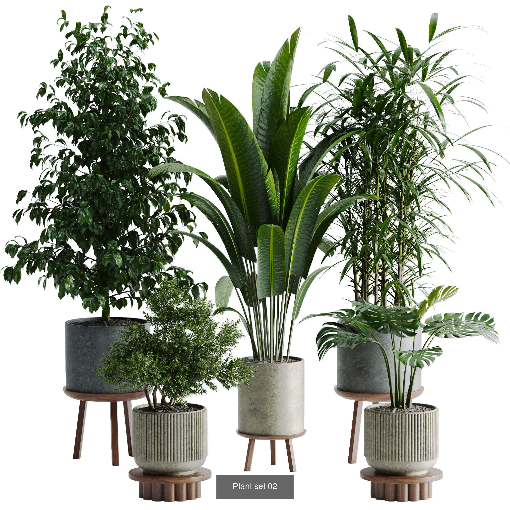Plant sets collection  _7