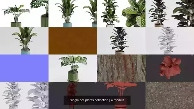 Single pot plants collection