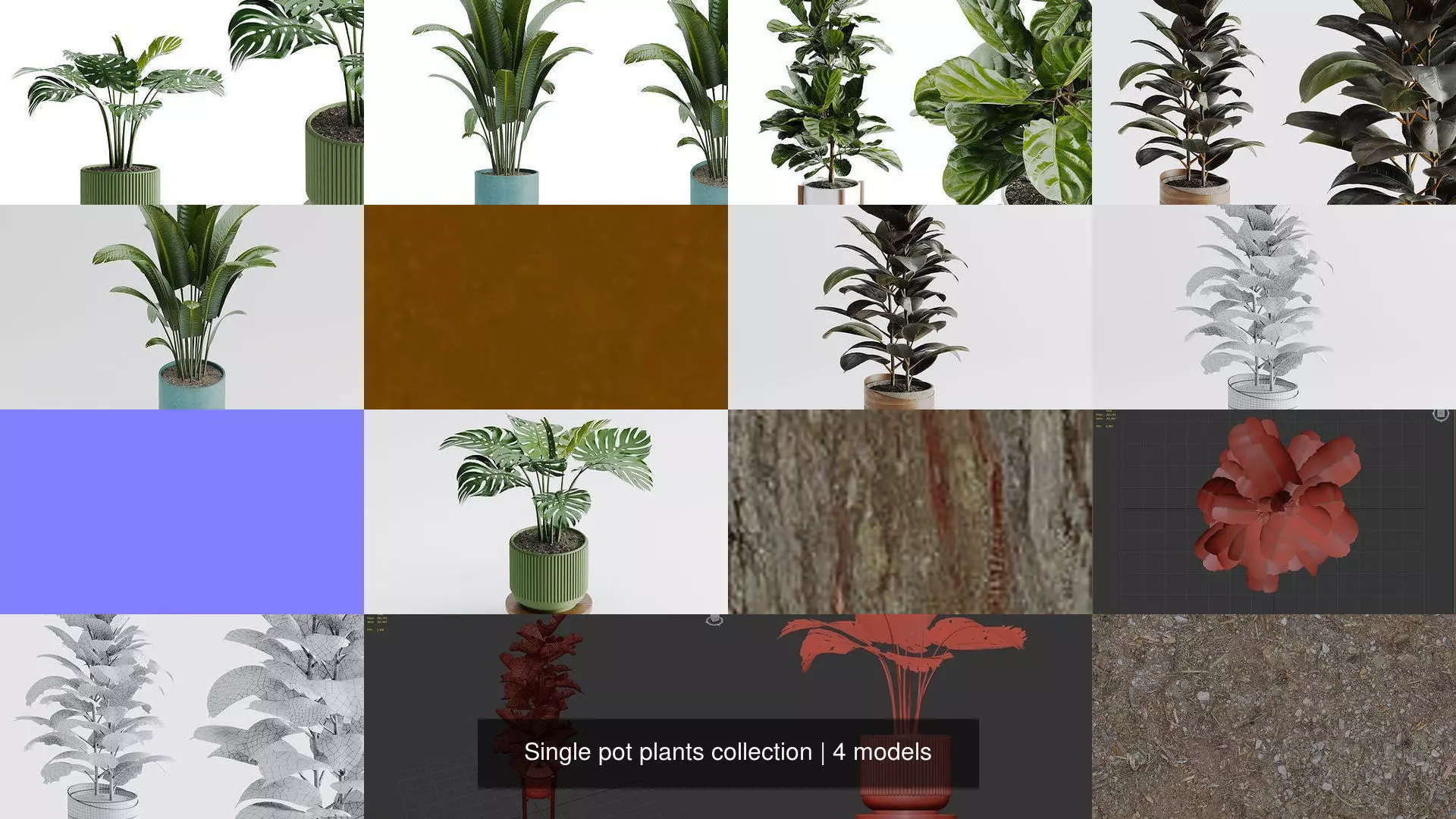 Single pot plants collection _1