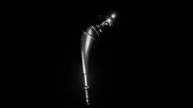 FEMORAL PROTHESIS 3D MODEL 3D model