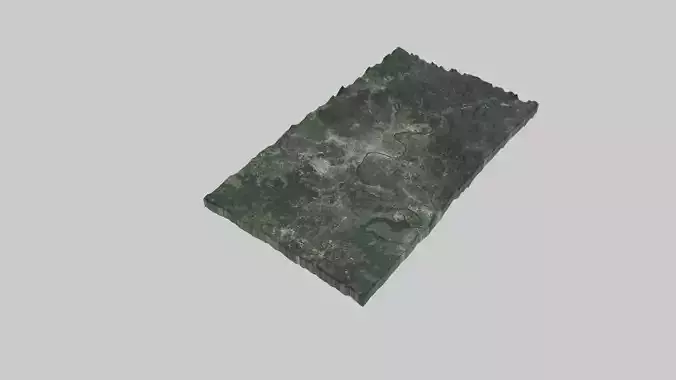 Nashville-Davidson City