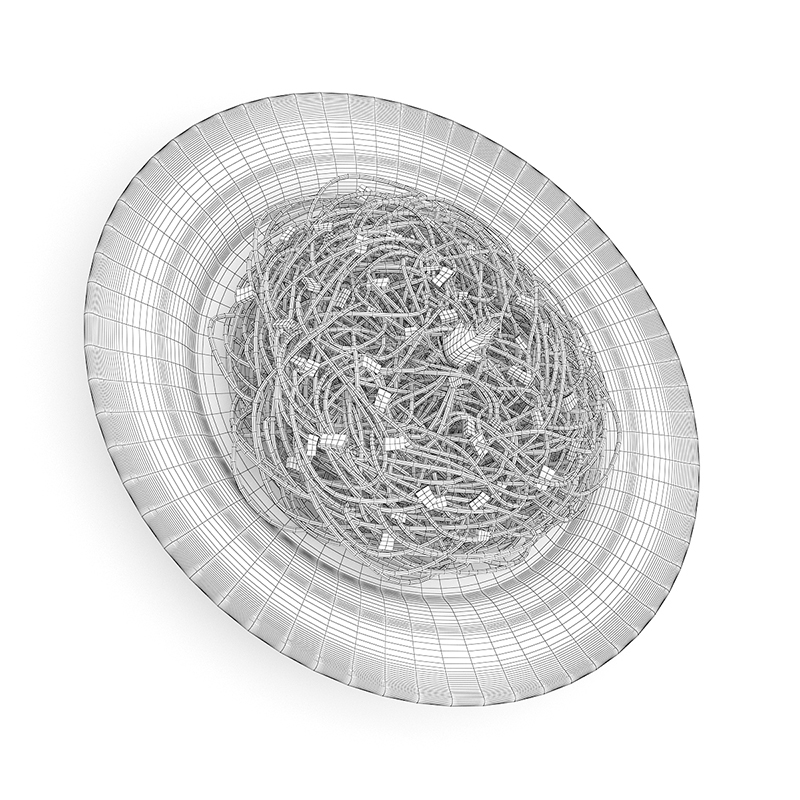 Spaghetti Carbonara 3D model_1