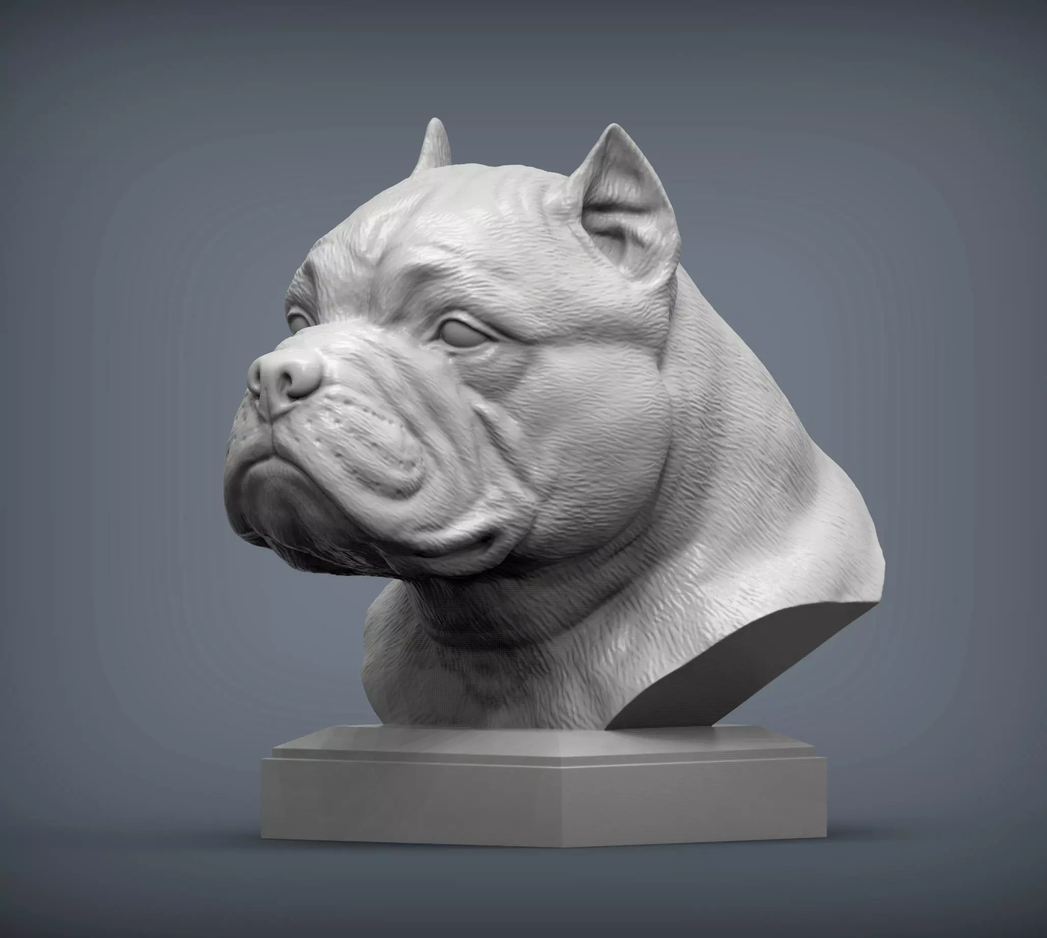 American Bully bust 3D print model