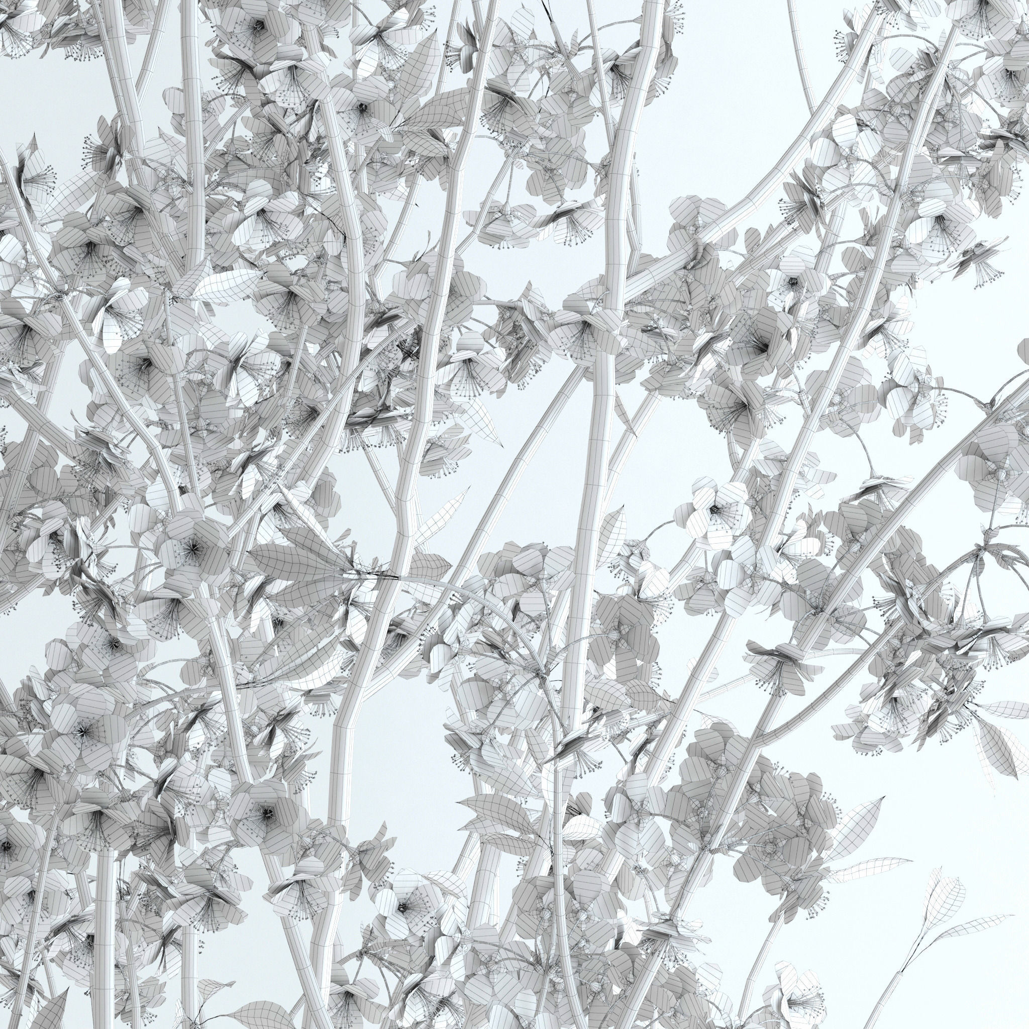 Cherry Blossom 3D model_10
