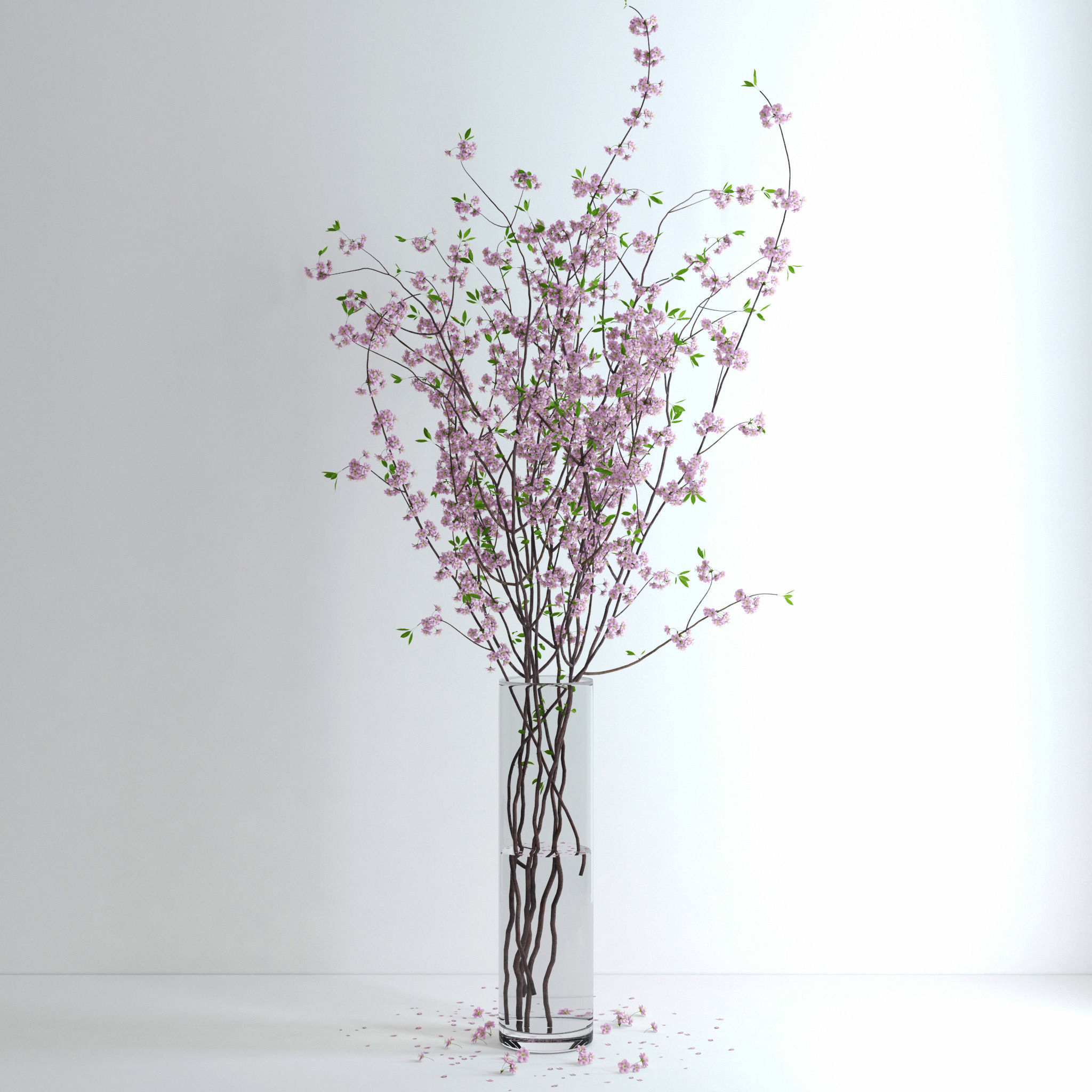 Cherry Blossom 3D model_5