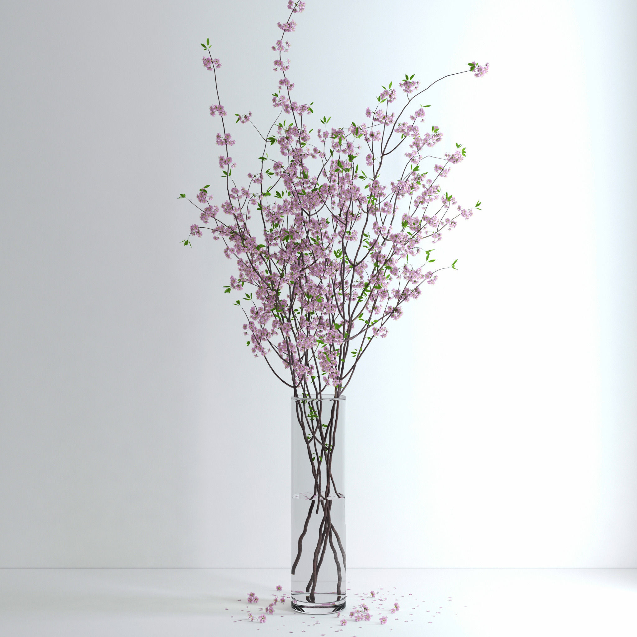 Cherry Blossom 3D model_6