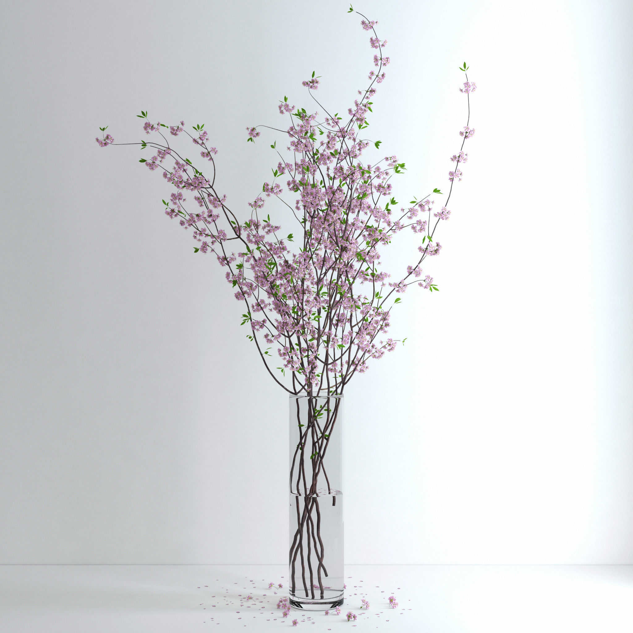 Cherry Blossom 3D model_7
