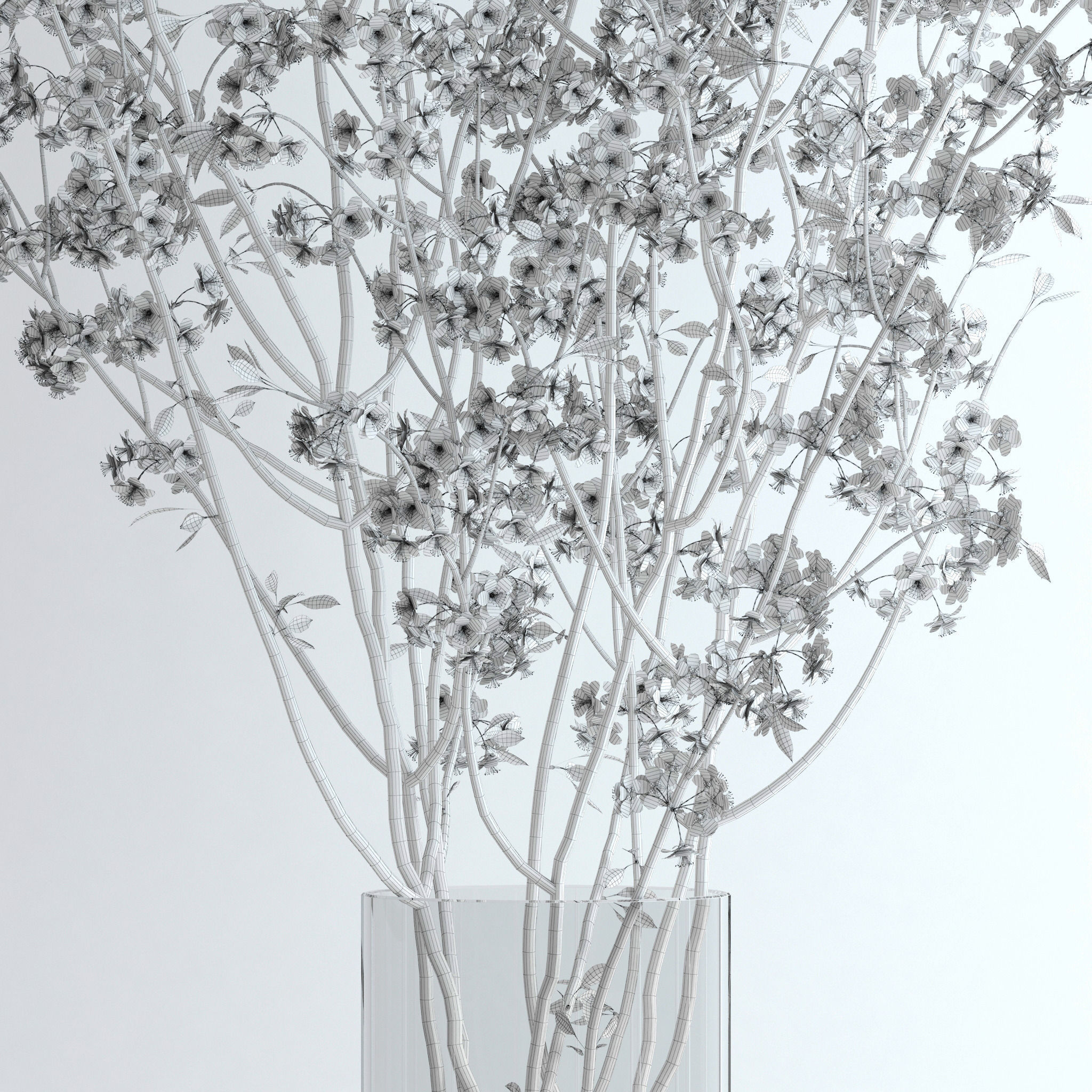 Cherry Blossom 3D model_12