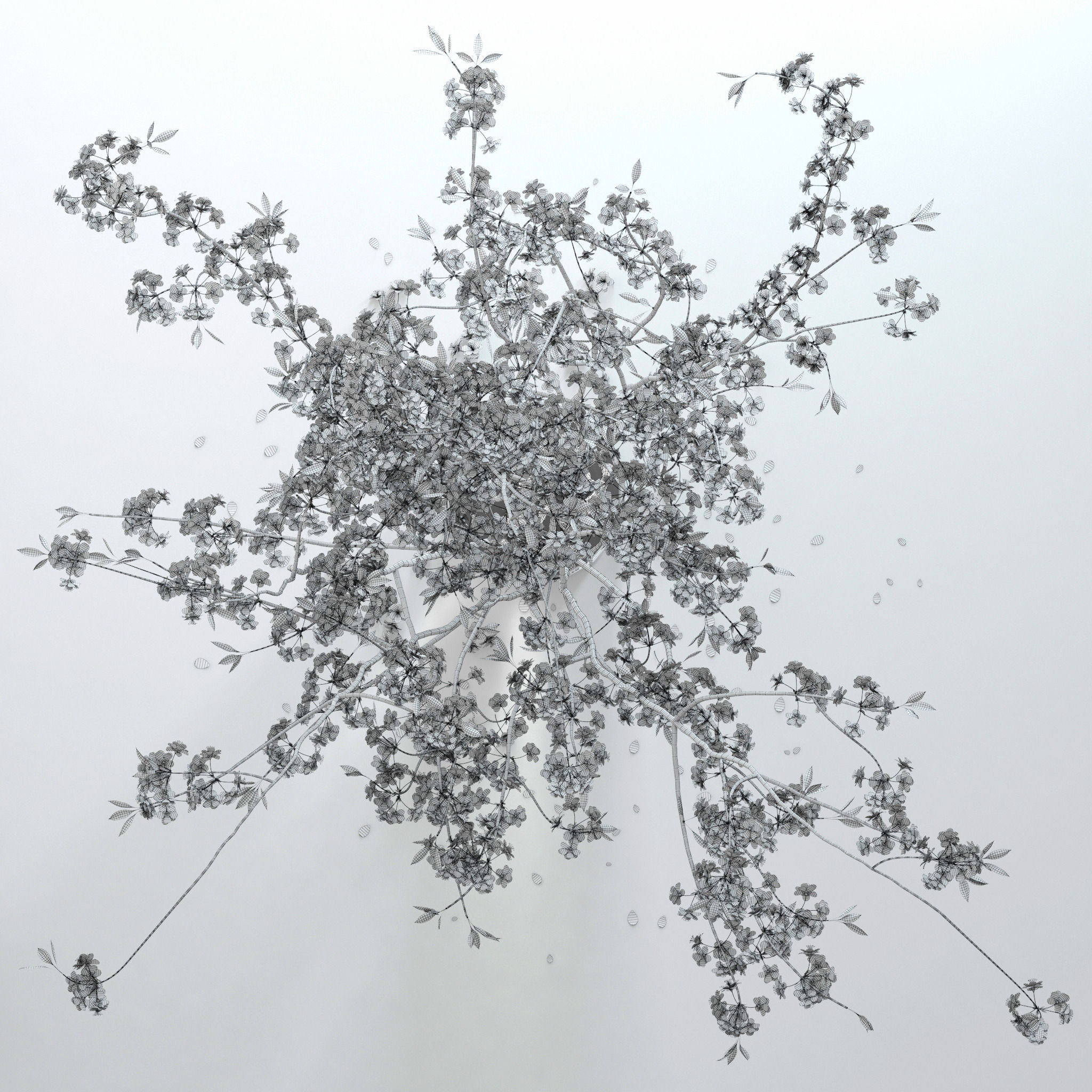Cherry Blossom 3D model_14
