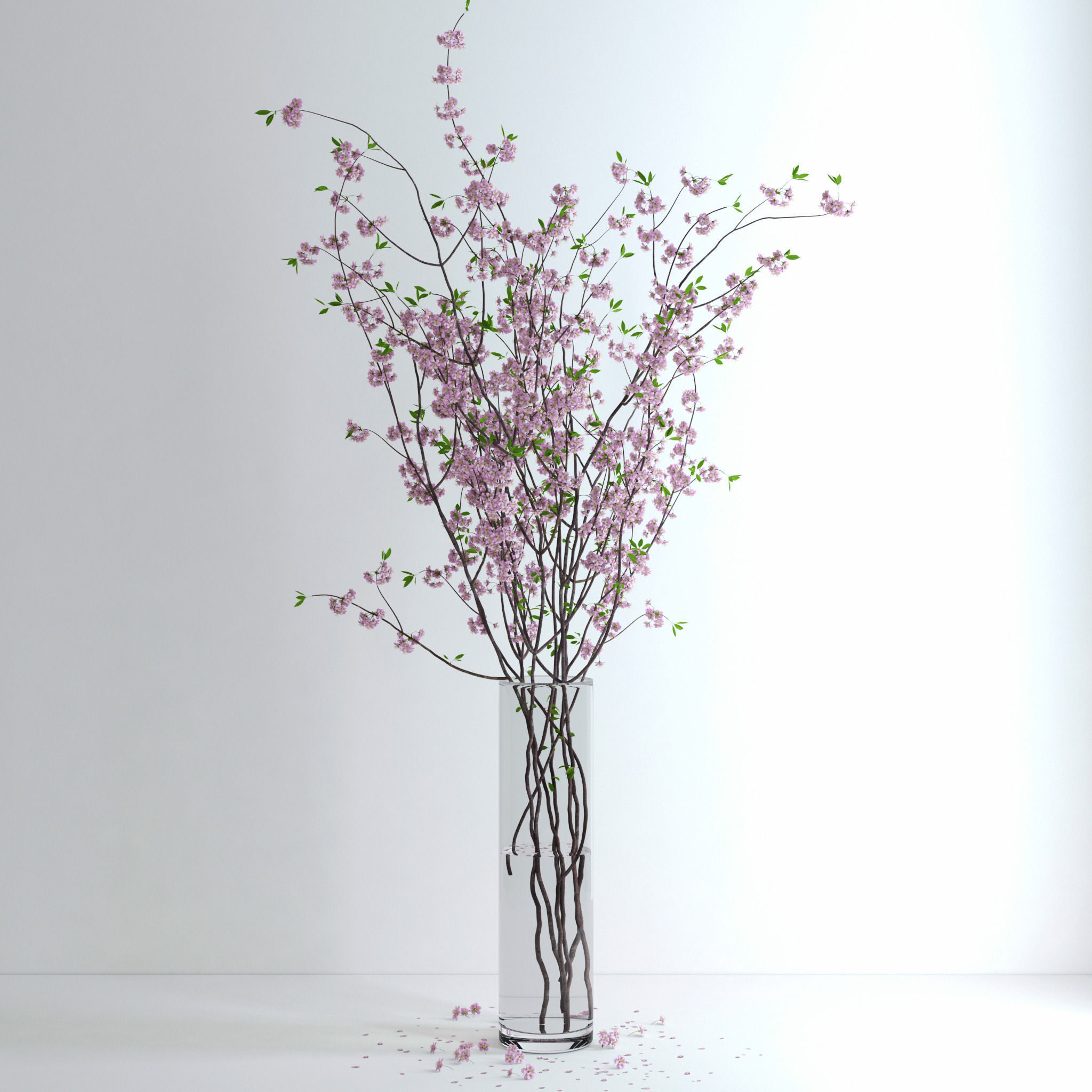 Cherry Blossom 3D model_8