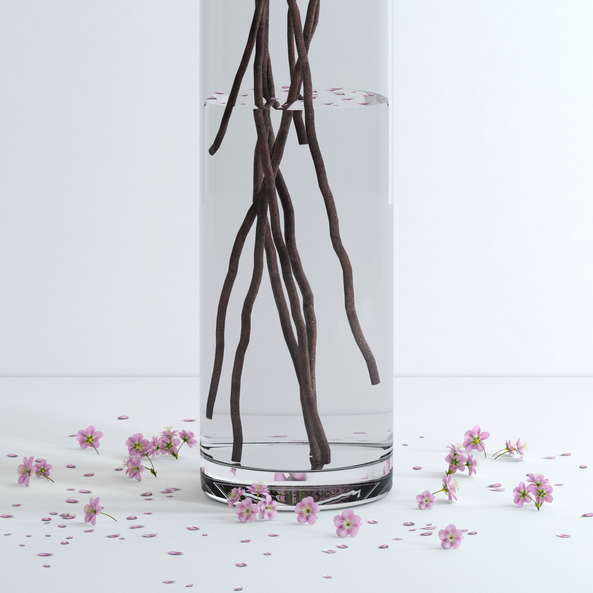 Cherry Blossom 3D model_3