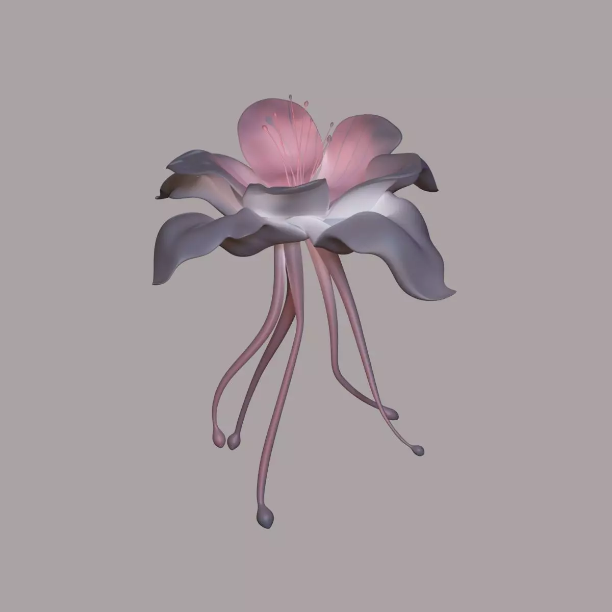 Etherial Pink Enchanting Flower 3D model_0