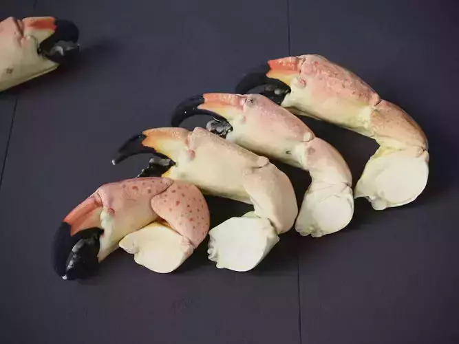 Stone Crab Claws