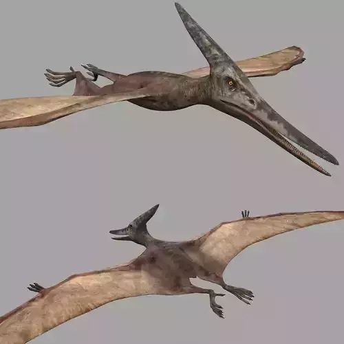 Pterosaur Forever 8K - 3d animated model 3D model