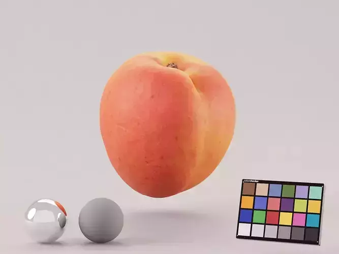 Apricot Photoscan 3D model