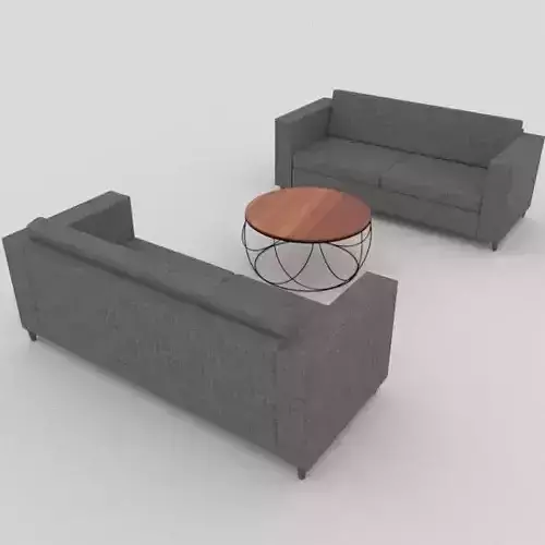 Couch and coffee table