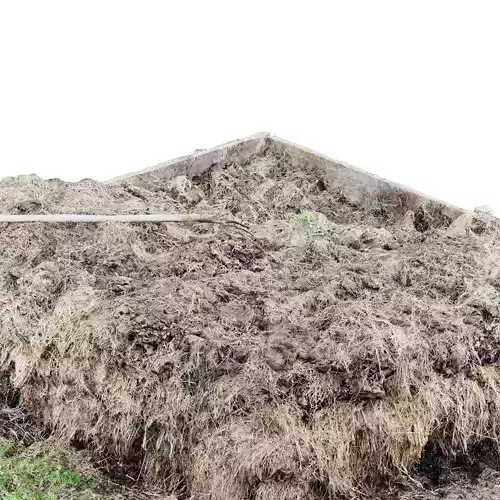 Manure with hay 3d scan