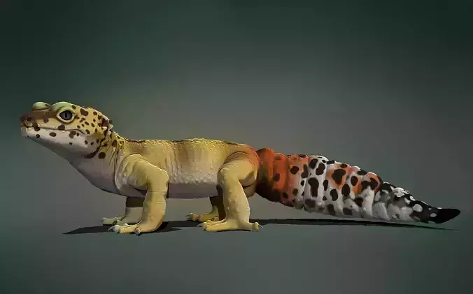 Leopard Gecko 3D model