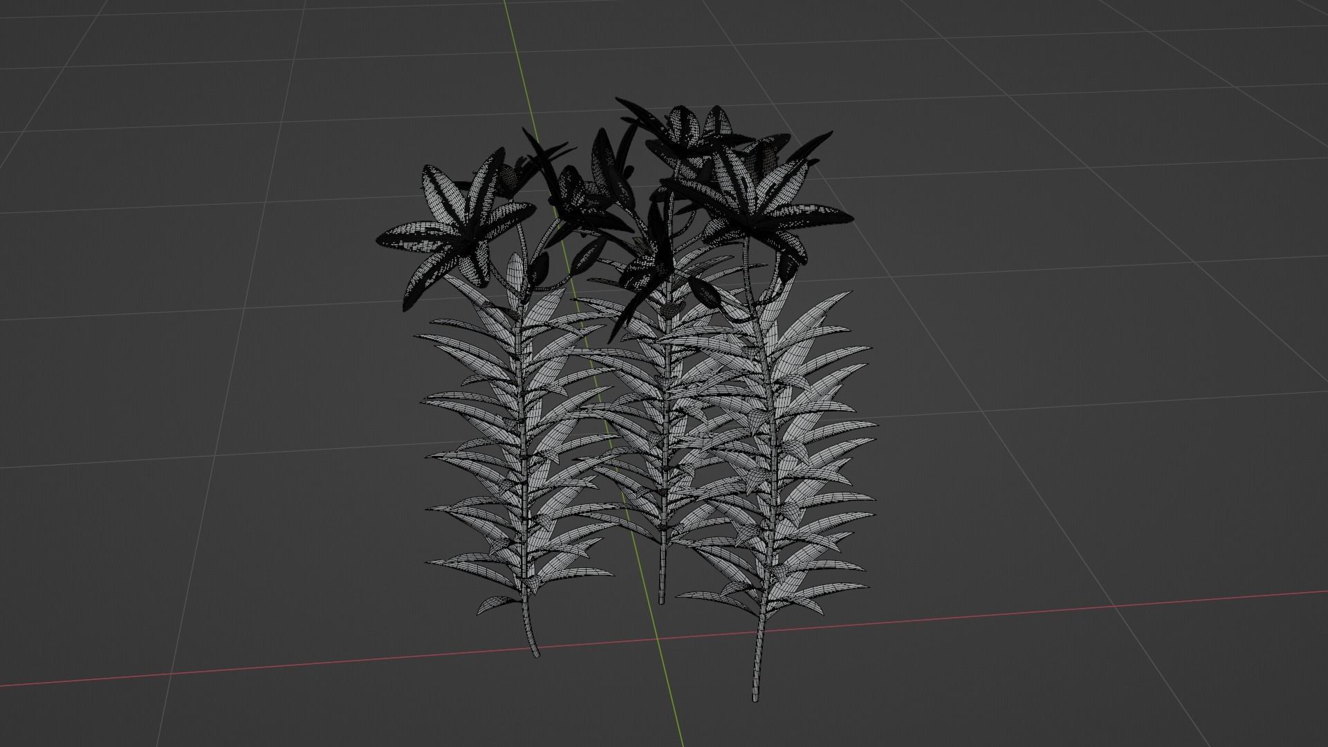 Lilium Lily Plant Low-poly 3D model_6