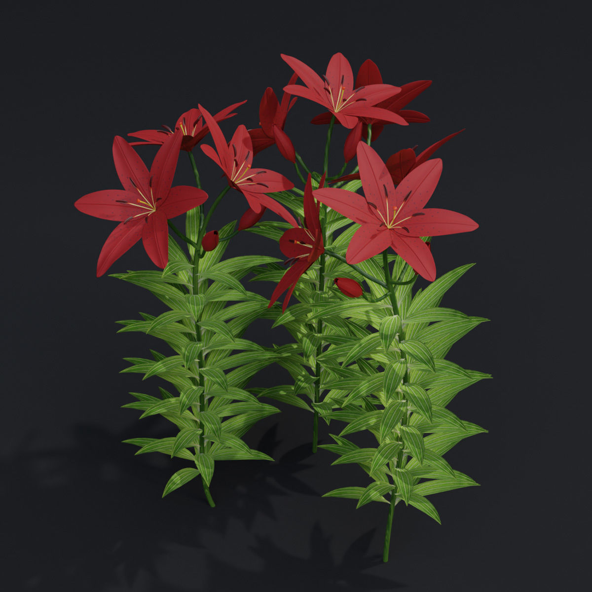 Lilium Lily Plant Low-poly 3D model_4