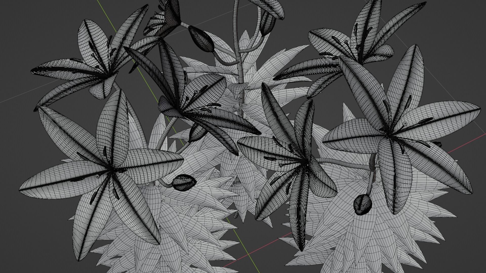 Lilium Lily Plant Low-poly 3D model_7