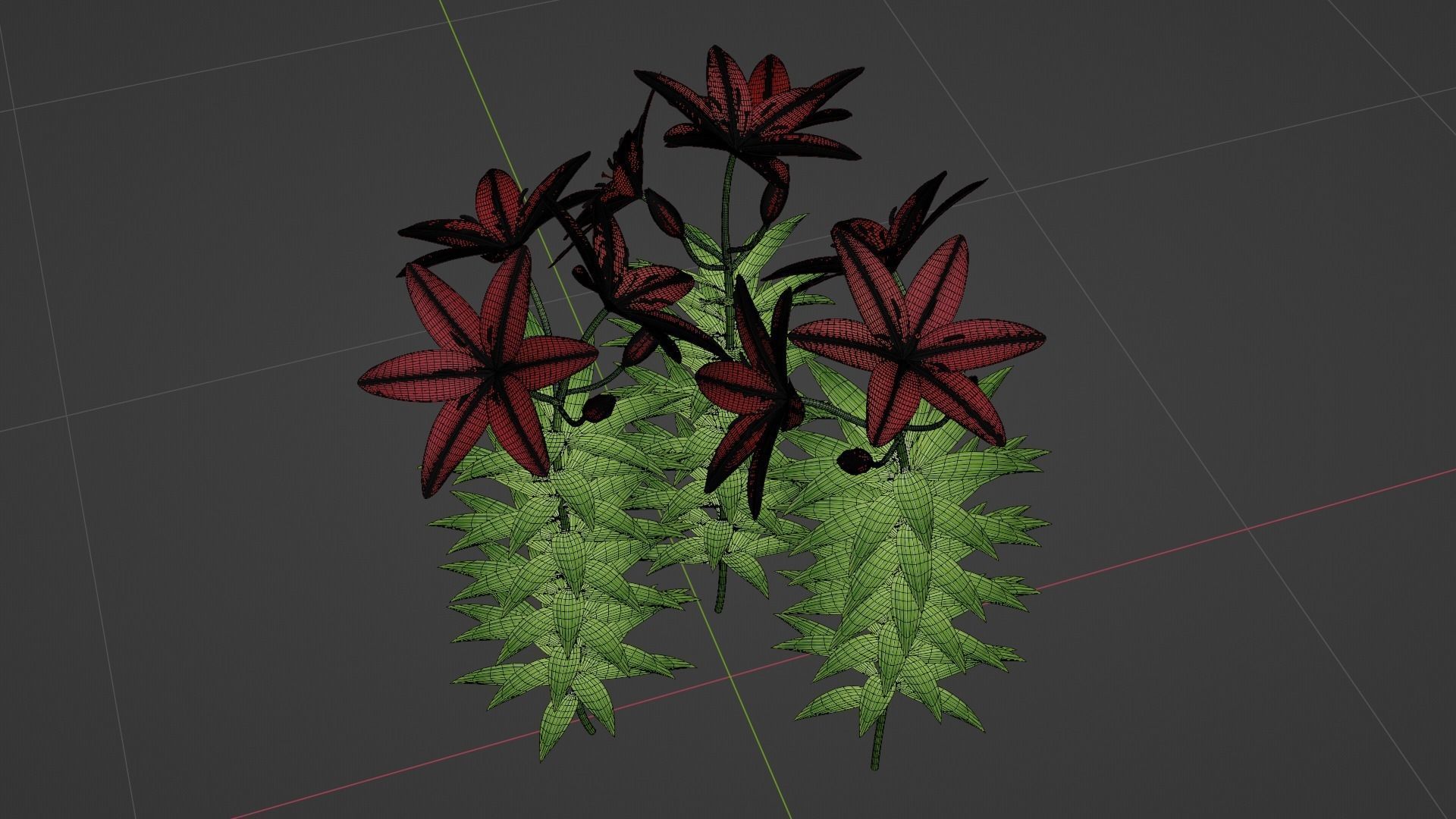 Lilium Lily Plant Low-poly 3D model_8