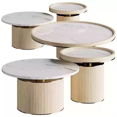 TENOR table 3D model