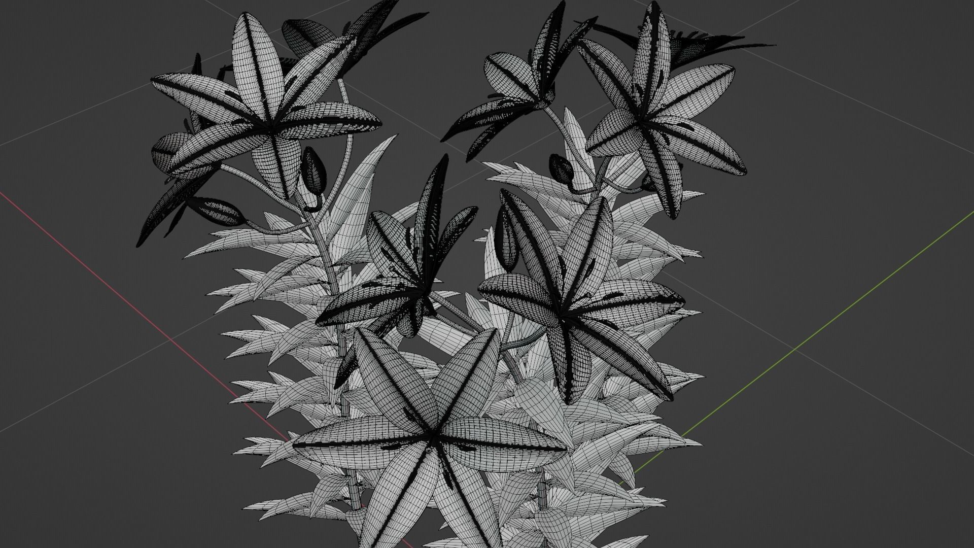 Lilium Lily Plant Low-poly 3D model_8