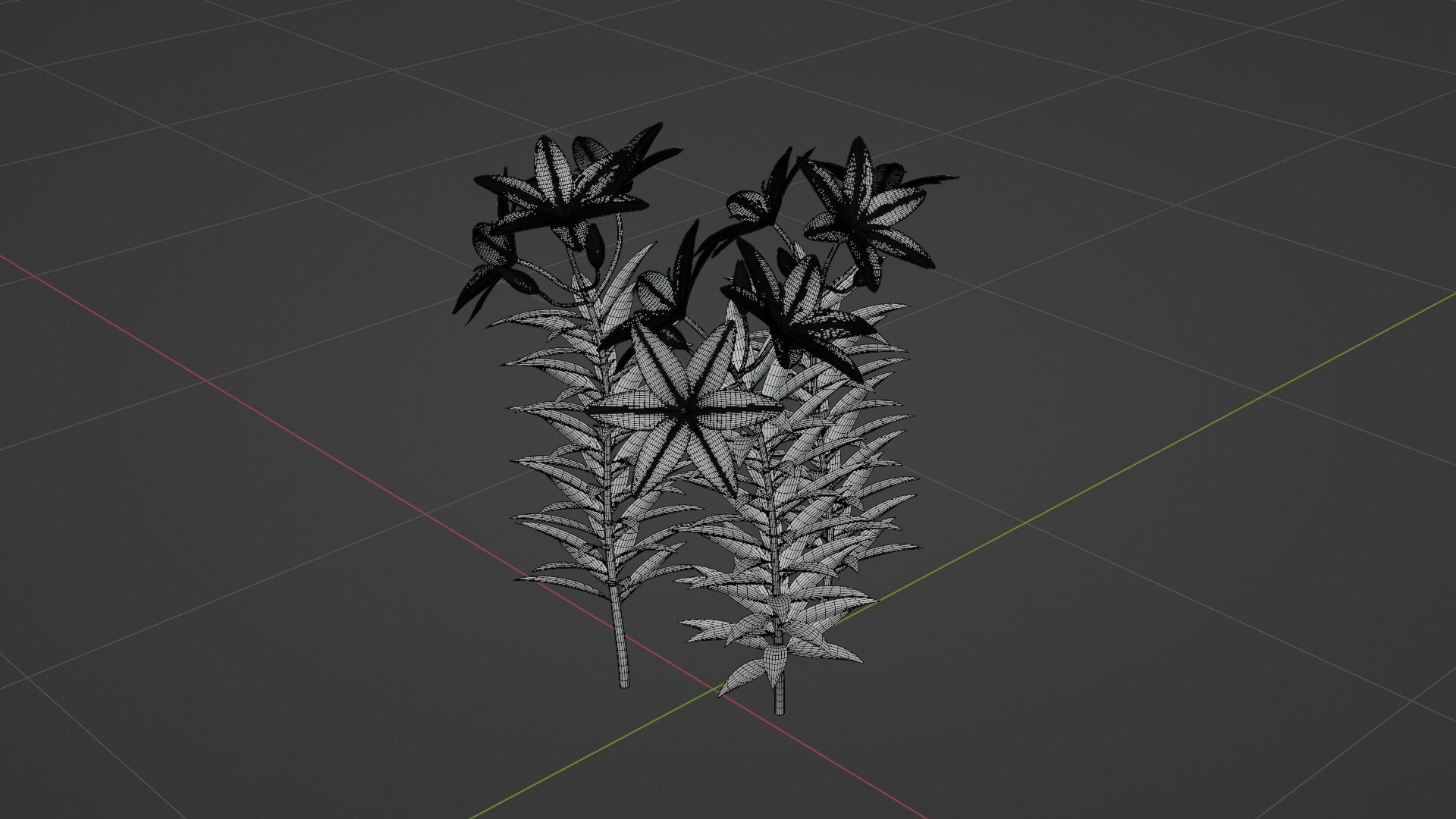 Lilium Lily Plant Low-poly 3D model_7