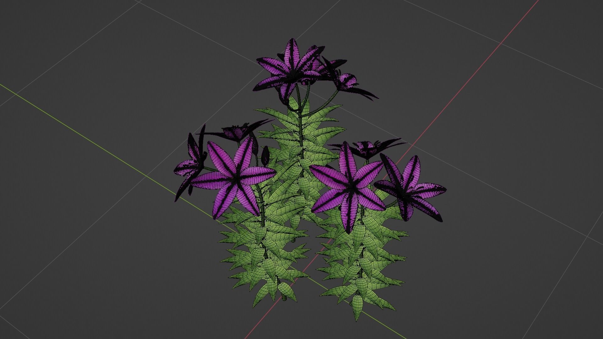 Lilium Lily Plant Low-poly 3D model_6