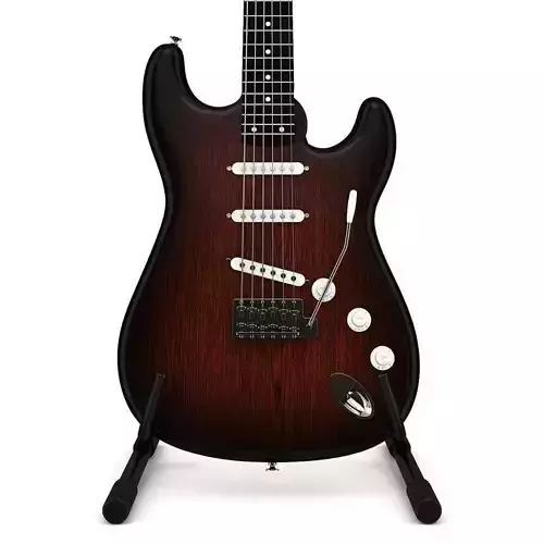 Electric Guitar