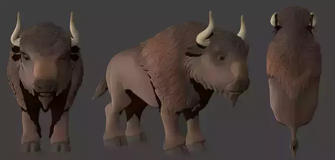 Bison