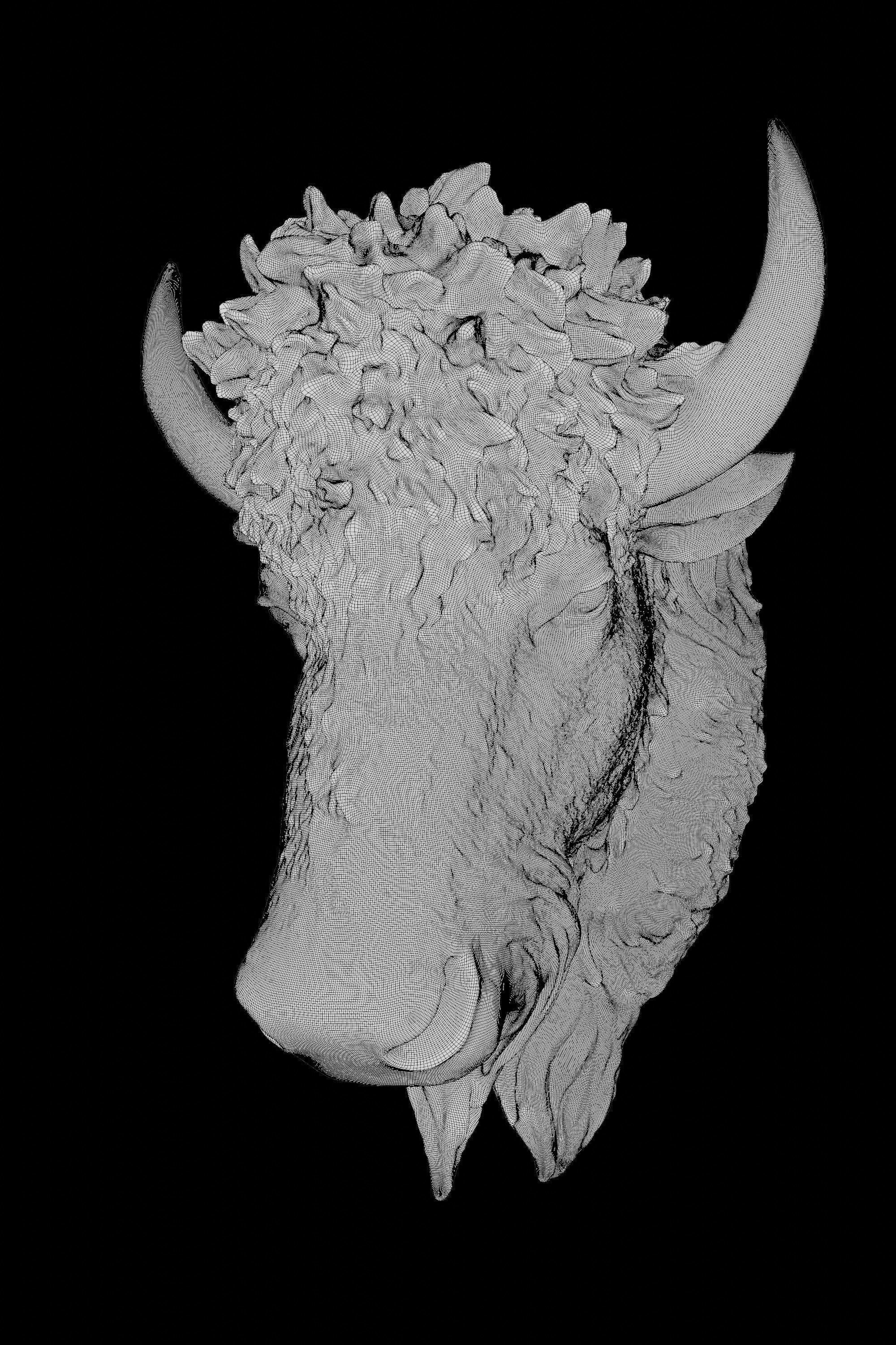 Bull Head Decoration 3D model_4