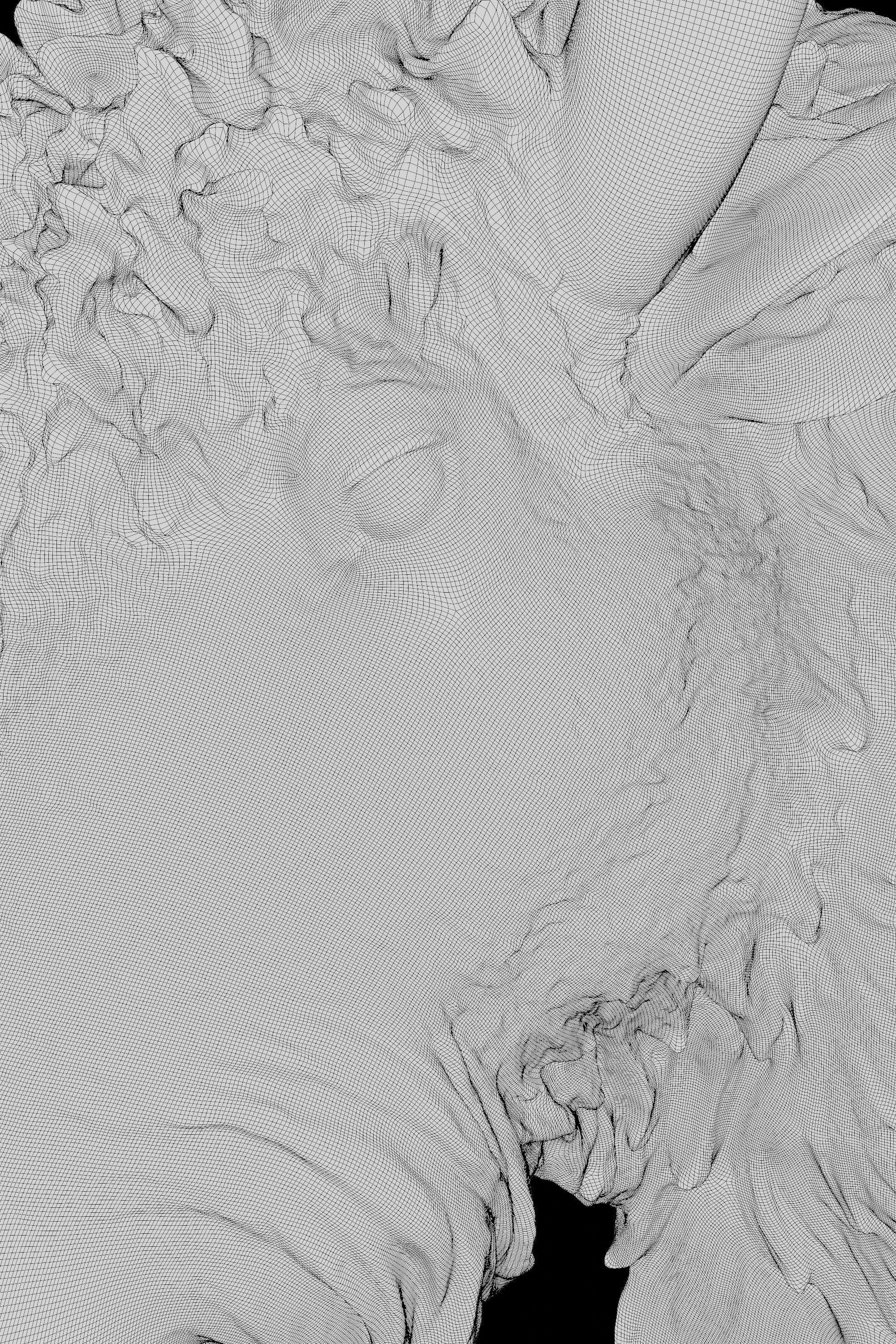 Bull Head Decoration 3D model_5