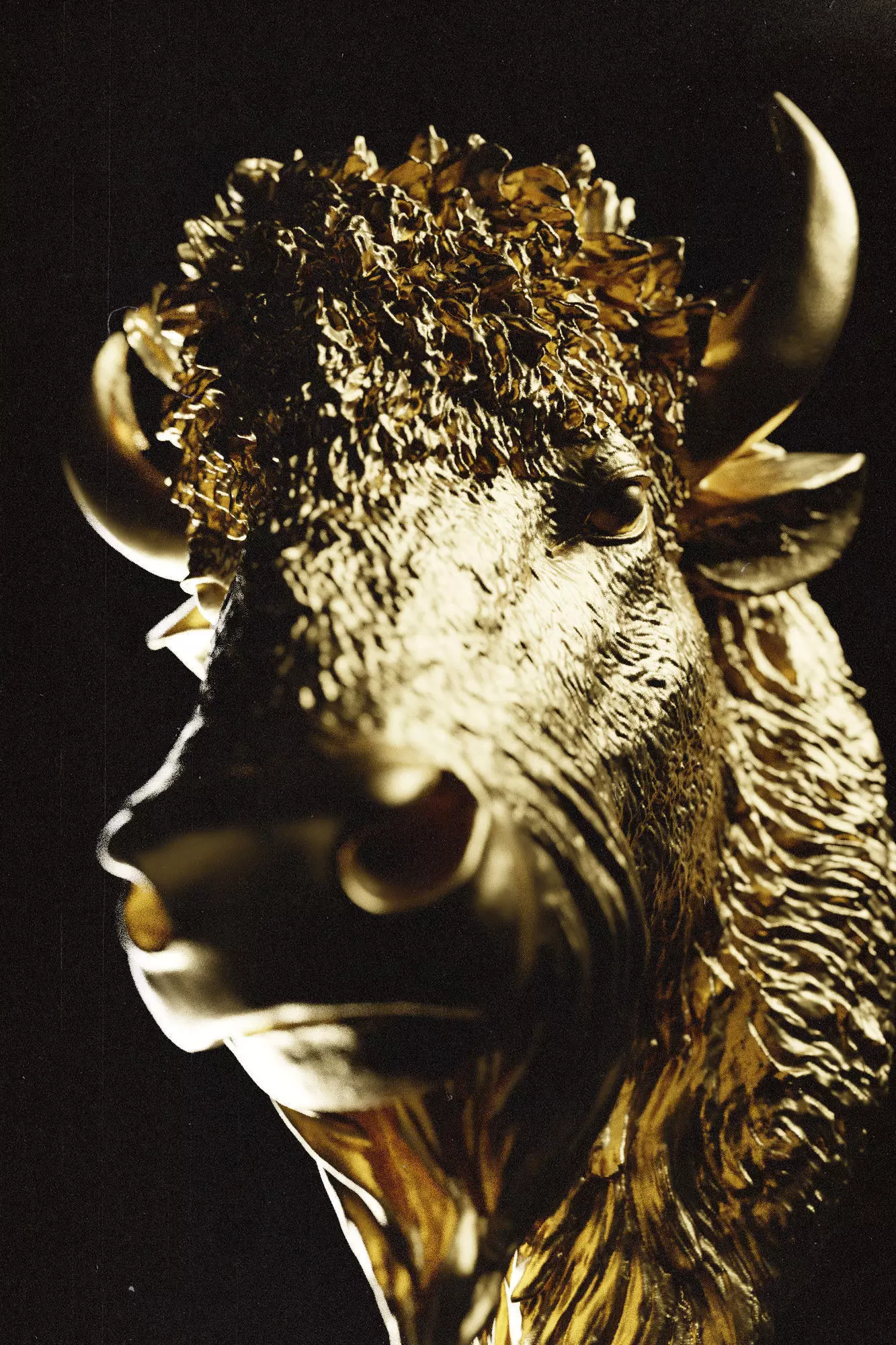 Bull Head Decoration 3D model_0