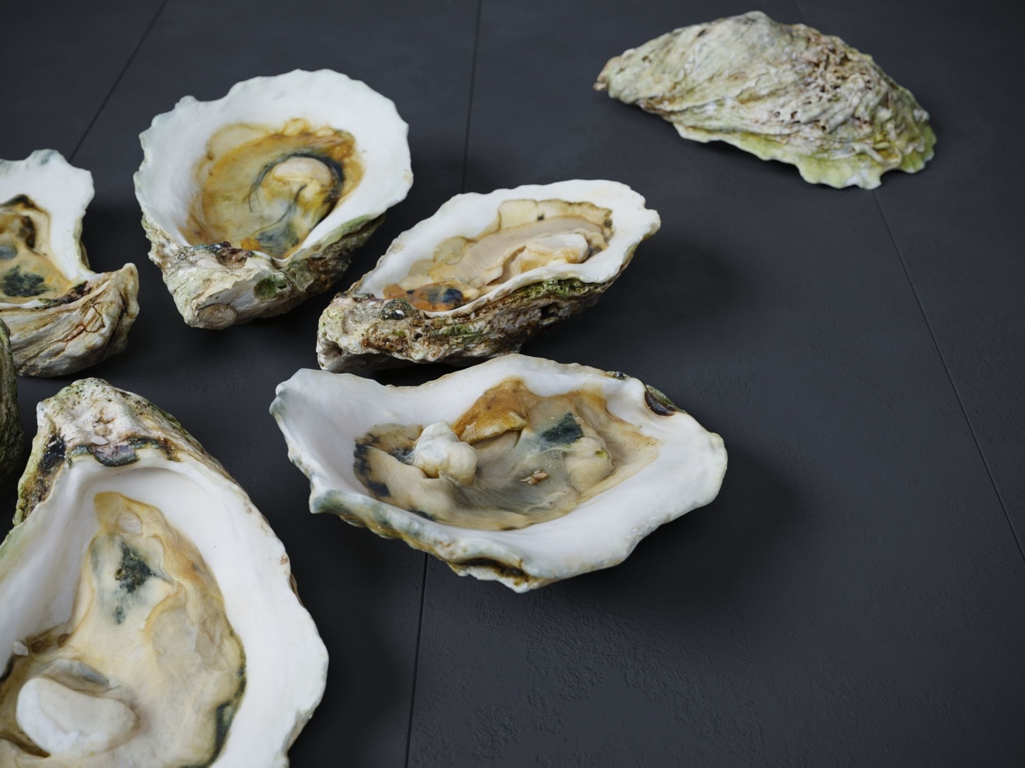 Half Shell Oysters 3D model_3