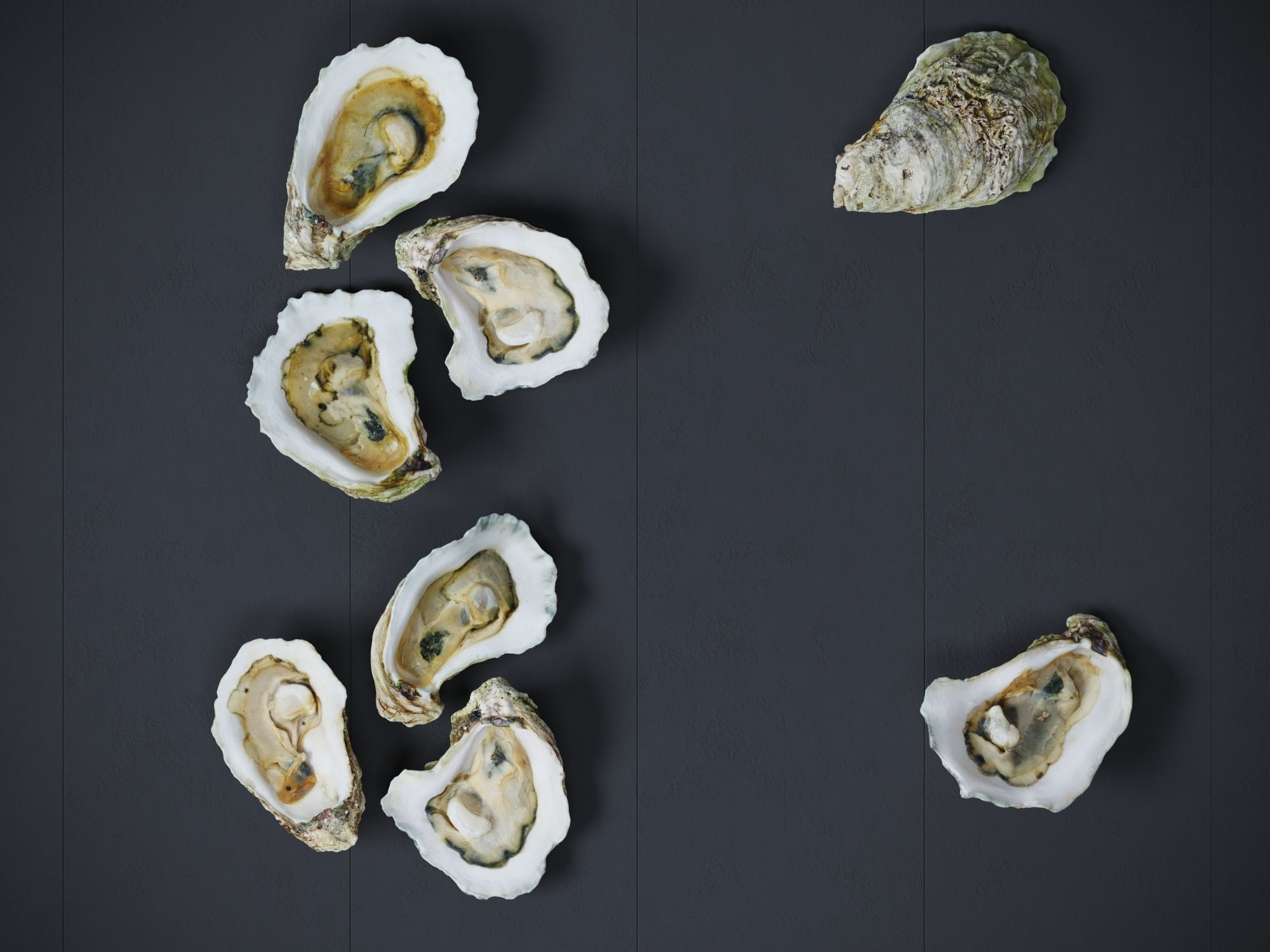 Half Shell Oysters 3D model_1