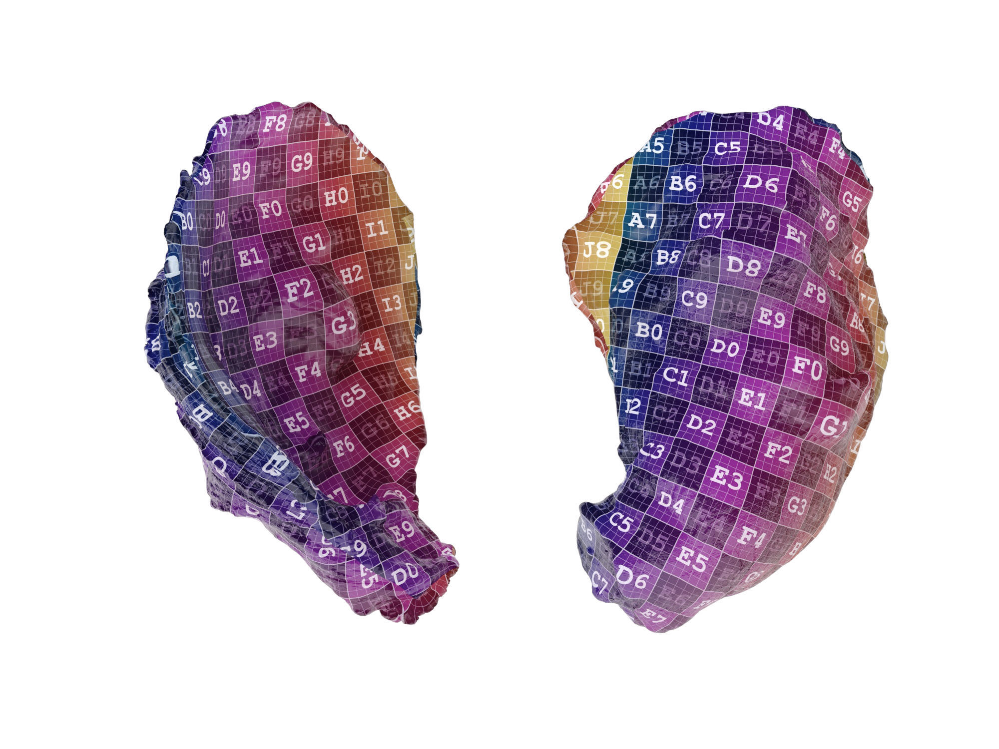 Half Shell Oysters 3D model_10