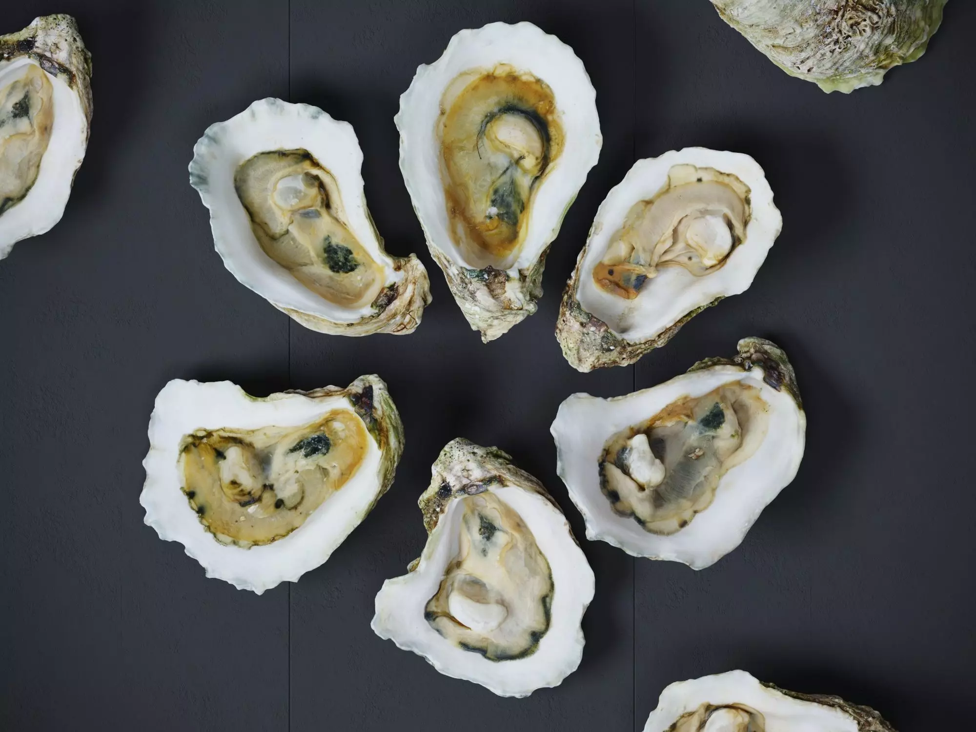 Half Shell Oysters 3D model_0