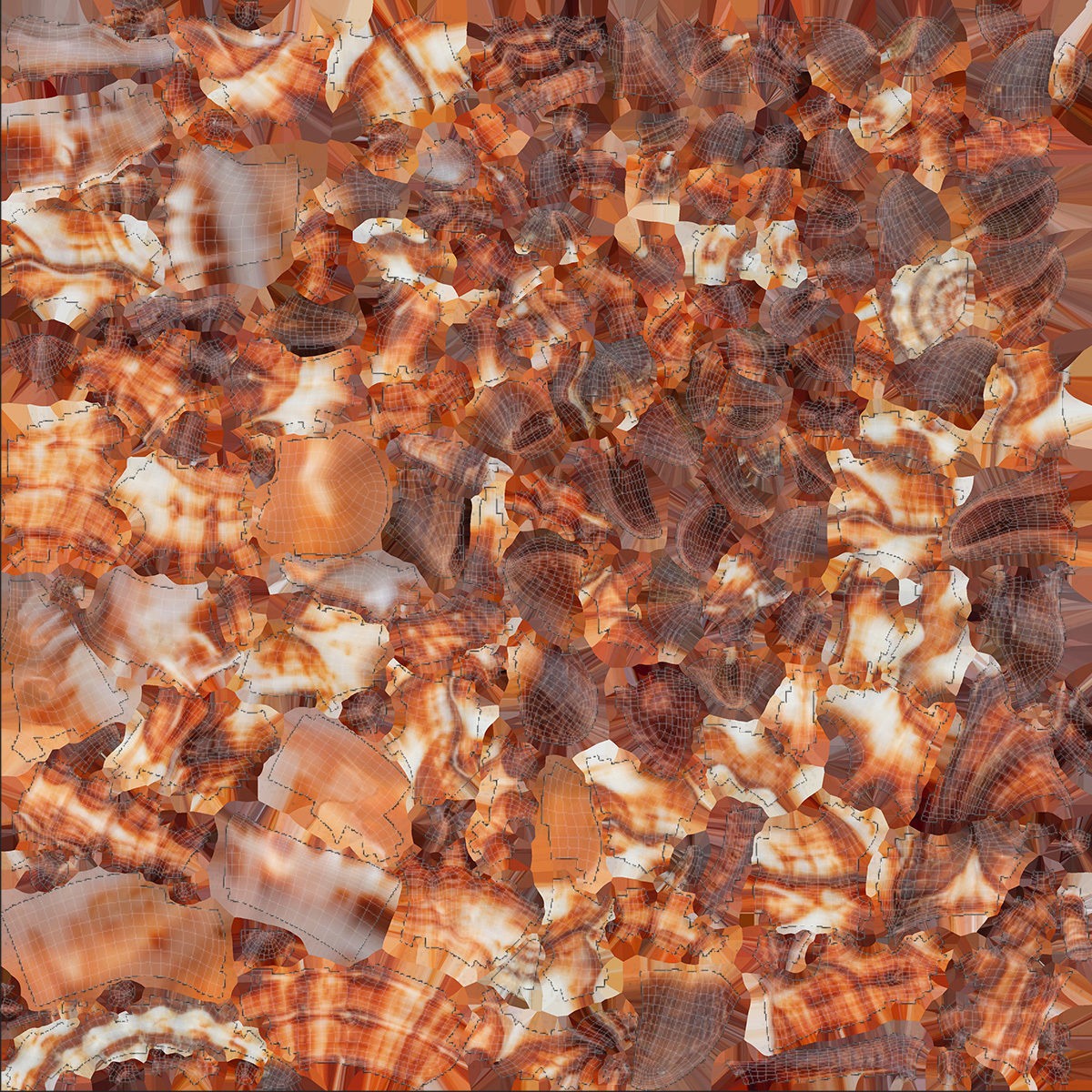 Vasum Tubiferum Sea Shell Low-poly 3D model_8