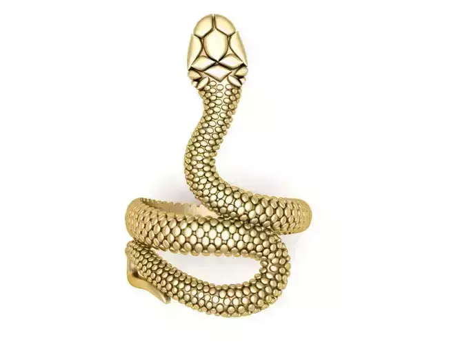 The Snake Ring
