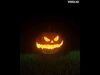 Halloween pumpkin Free low-poly 3D model_1