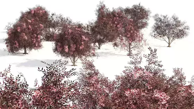 Large elderberry shrubs Low-poly 3D model