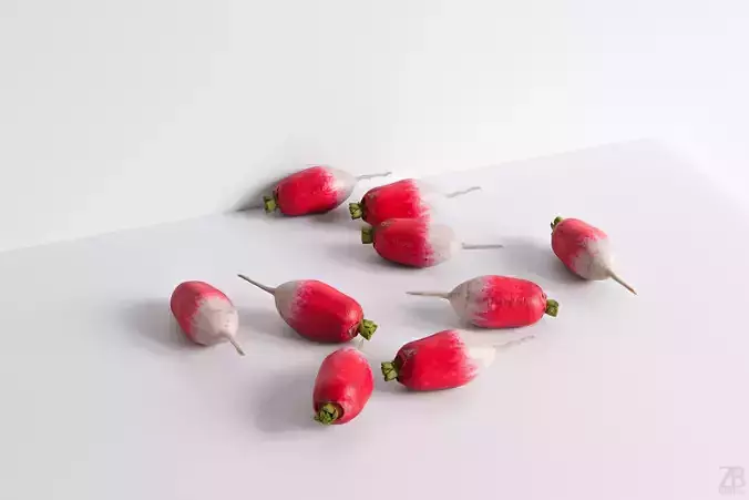 Radish 3D model