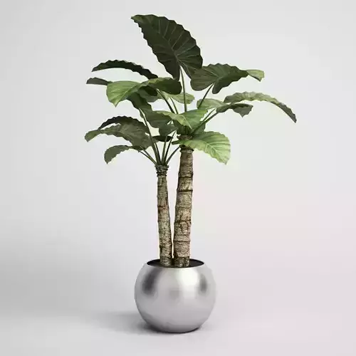 Potted Houseplant 15
