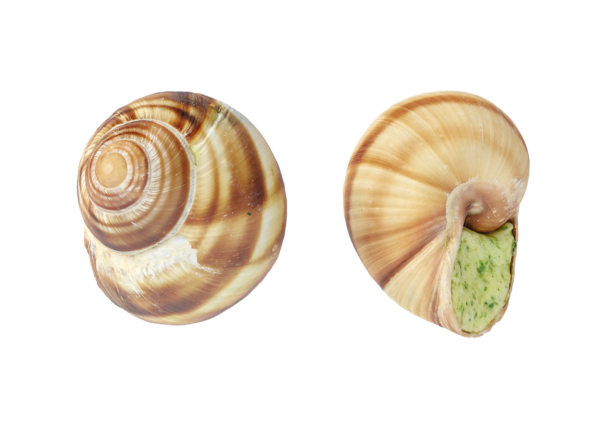 Escargots Low-poly 3D model_7