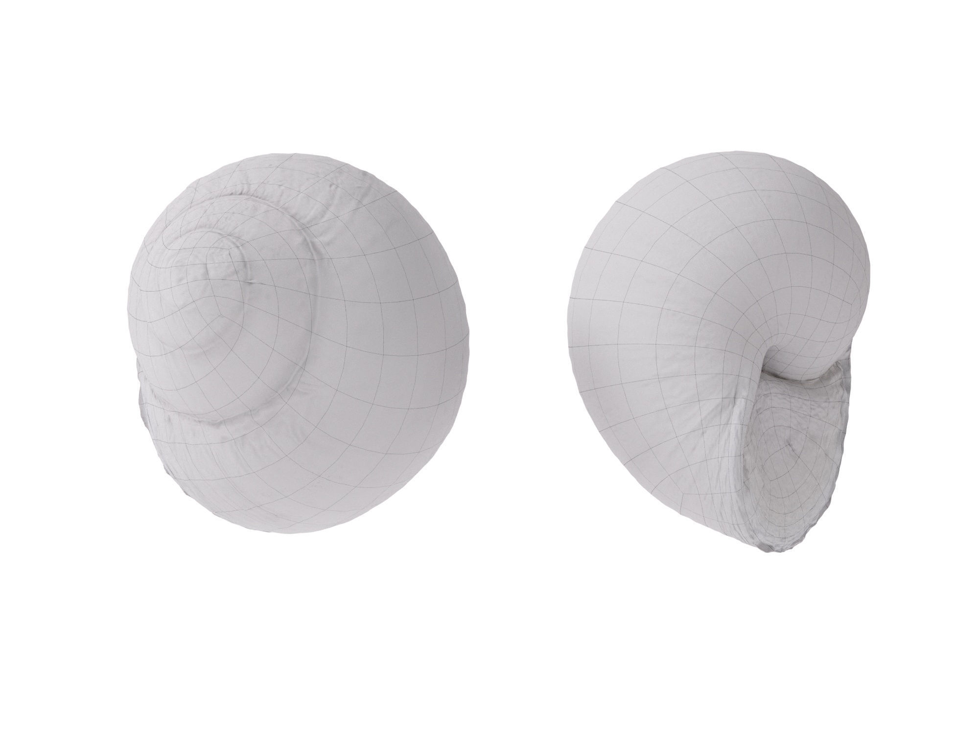 Escargots Low-poly 3D model_8